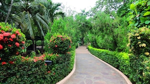 A curved stone pathway flanked by lush greenery and red flowering bushes. - Hotel Villa del Sueño (Sardinal)