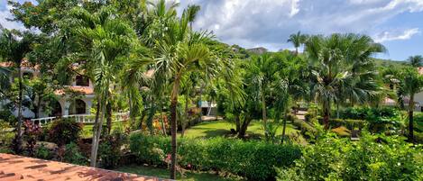A lush garden with palm trees and a tiled roof.