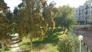 A courtyard with trees, a pathway, and a building in the background.