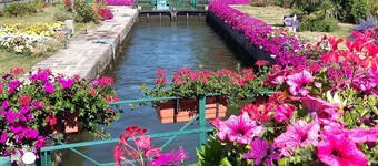 Beautiful stone gite in rural Brittany
