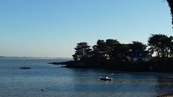 Ranta