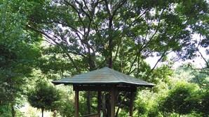 A wooden gazebo with a sloped roof, surrounded by dense greenery and trees. - Guests & Dogs House Hale Ilio (Ito)