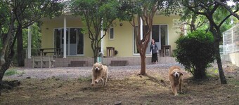Guests & Dogs House Hale Ilio