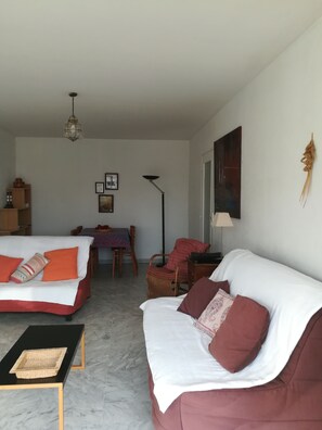 Flat-screen TV, DVD player, books