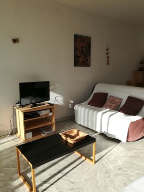 Flat-screen TV, DVD player, books