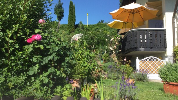 A garden with various plants and flowers, a white gazebo, and a yellow umbrella.