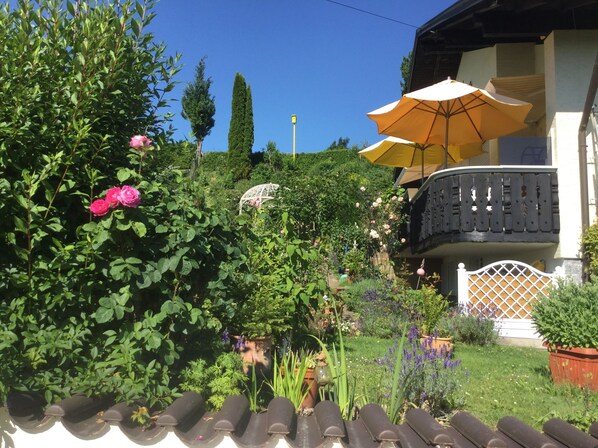 Terrein van de accommodatie