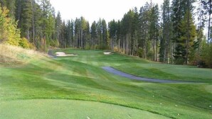 Ein Golfplatz mit einem gepflegten Grün, Sandbunkern und einem dichten Wald im Hintergrund.