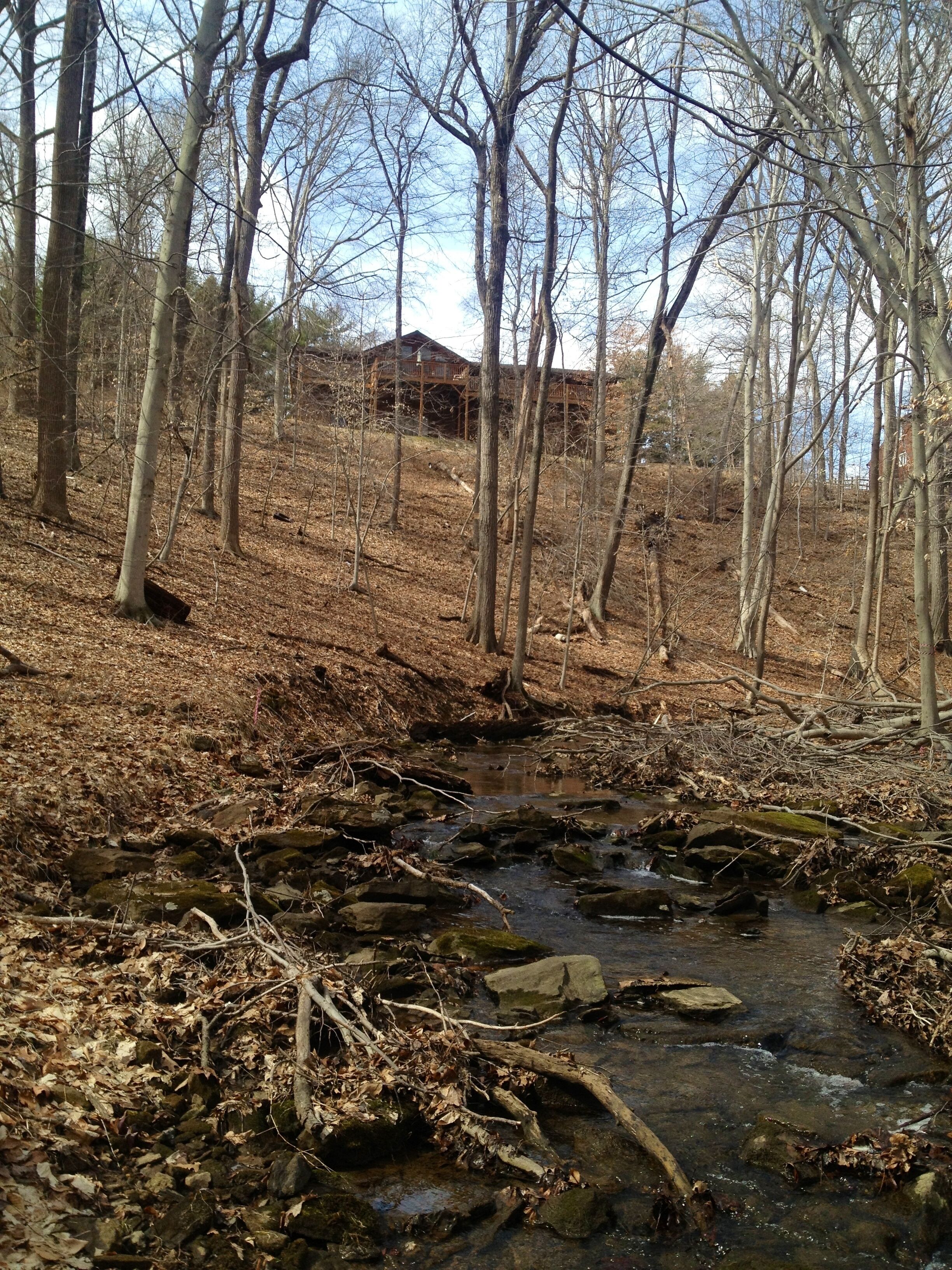 A forested area with a small stream and a wooden cabin in the background.