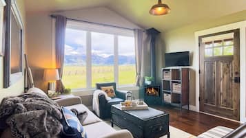 Älytelevisio, takka, stereot