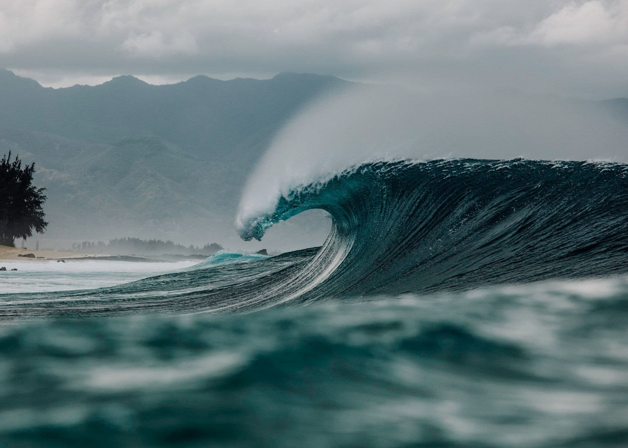 Turtle Bay Condo: Hawaiian Style & Cozy - Kuilima Estates East - Photo 18