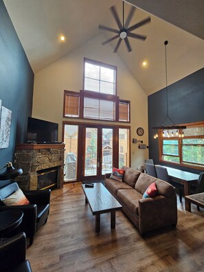 Smart TV, fireplace, DVD player, books