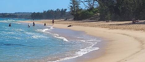 Beach nearby, beach towels