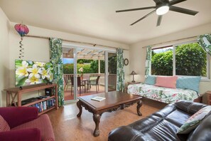 Smart TV, DVD player, books, music library