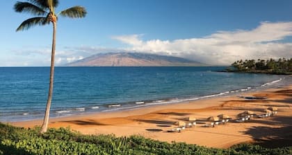 Ekolu 307 - Stunning Ocean Views & Sunsets, Prime location, Fully Remodeled,