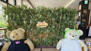 Two teddy bears standing in front of a bamboo plant arrangement with a sign in the background. - Starry Inn (Xincheng)