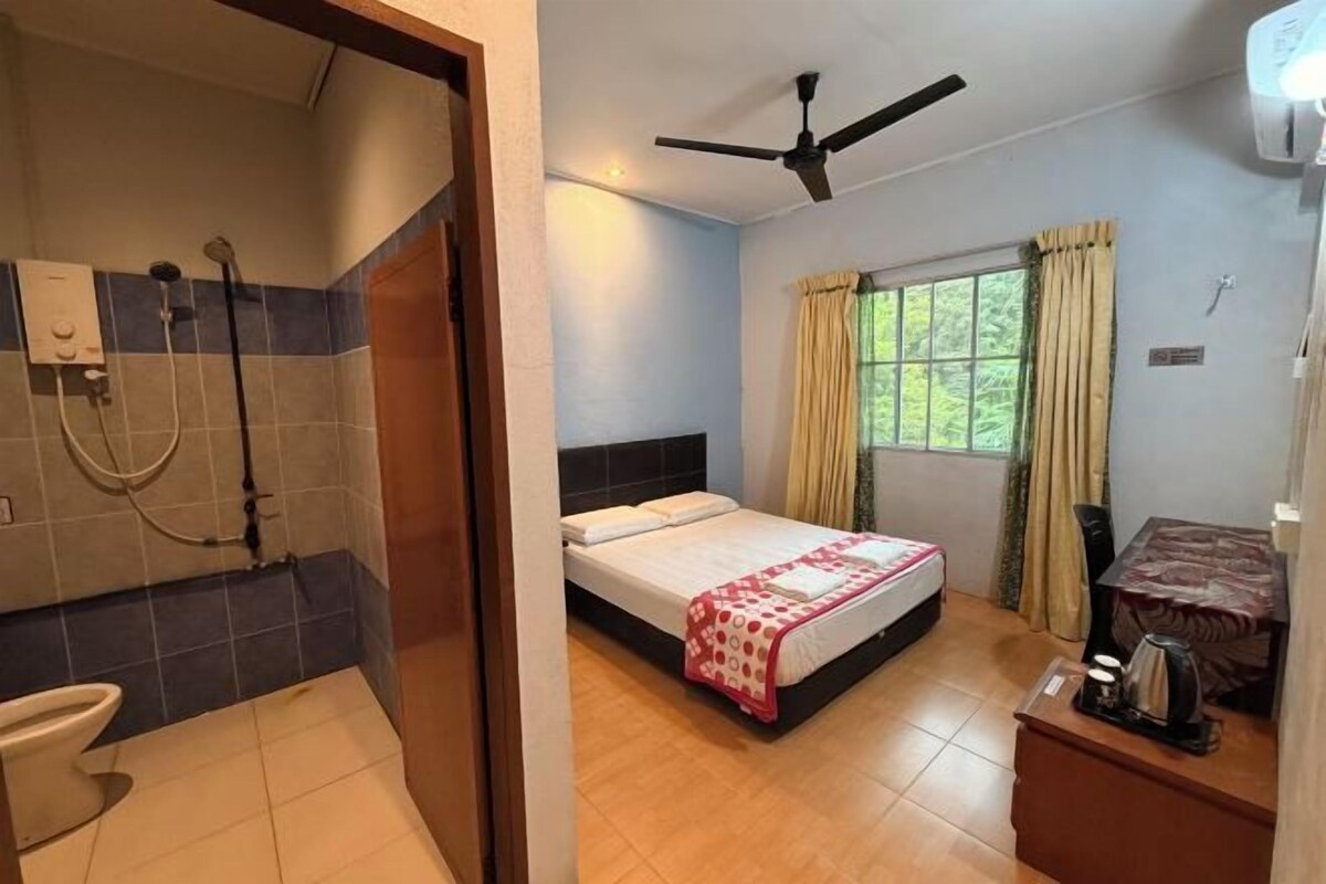 A room with a bed, a ceiling fan, a window with curtains, and a small table with a kettle.