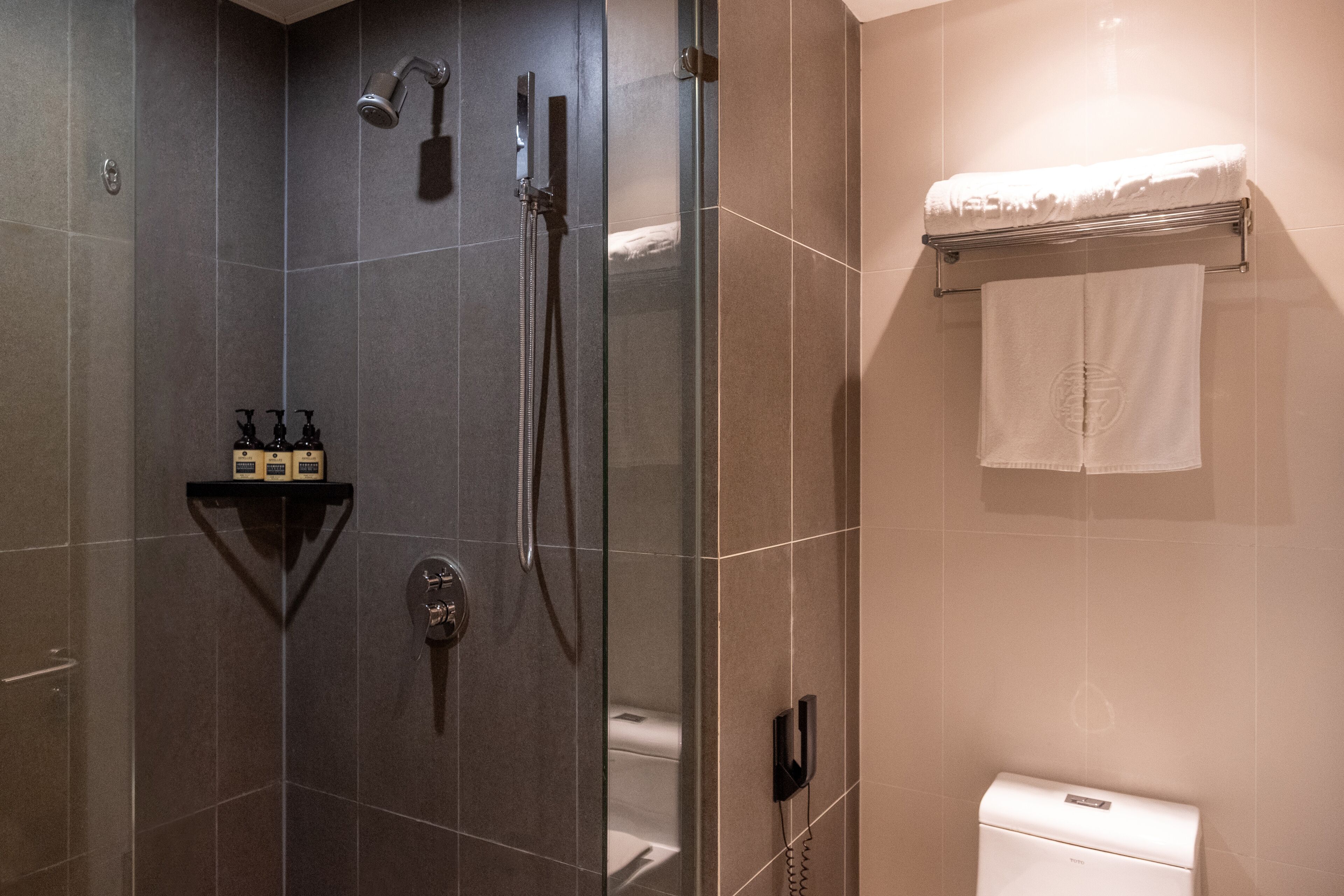 A modern bathroom with a glass-enclosed shower, a toilet, and a towel rack.