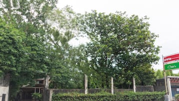 Khuôn viên nơi lưu trú