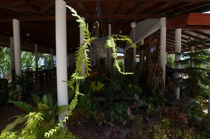 Taman