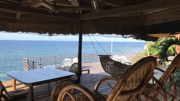 Beach/ocean view