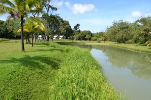 Property grounds - Phuket Campground (Mai Khao)