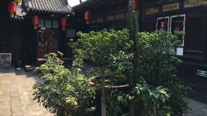 A traditional courtyard with tiled roofs, red lanterns, and a cactus plant. - Pingyao Yuchengyuan Hotel (Jinzhong)