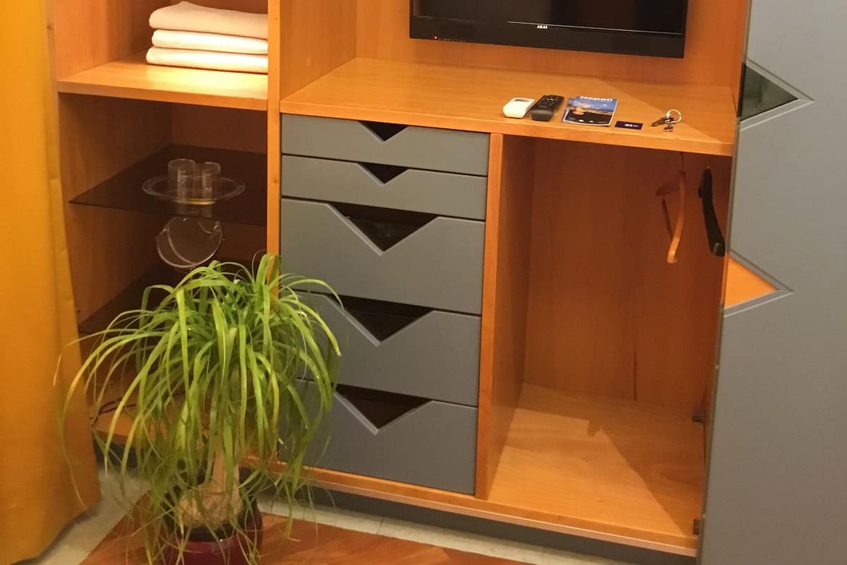 A compact room with a wooden desk, a flat-screen TV, and a potted plant.