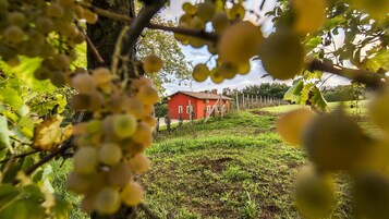 Área da propriedade