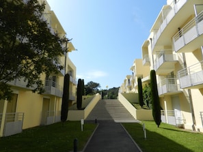 Taman