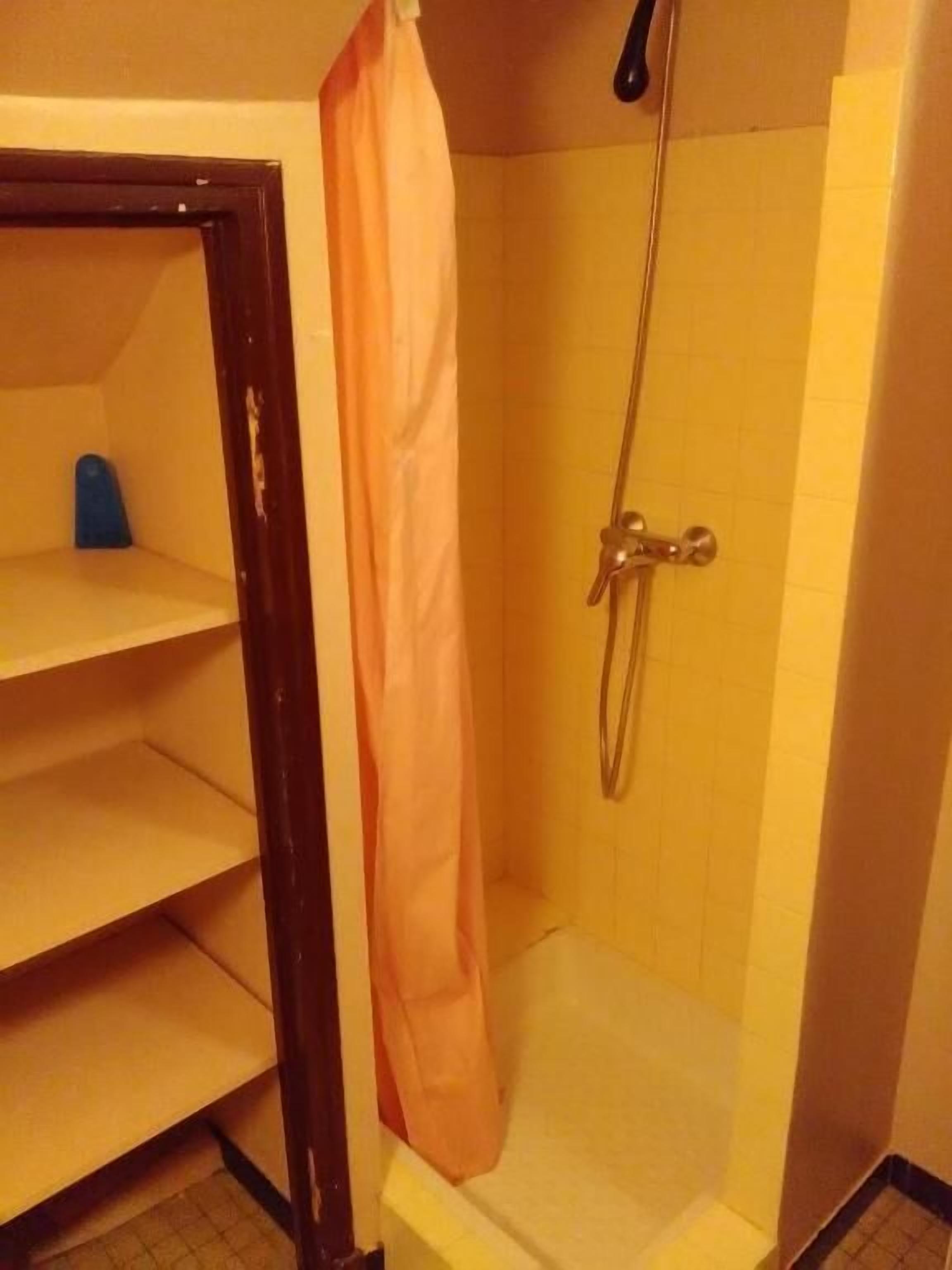 A shower area with a showerhead, a curtain, and a shelf unit.