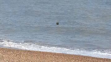 Guests can enjoy access to a pebbly beach and calm sea.