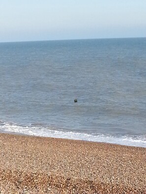 Una spiaggia nelle vicinanze