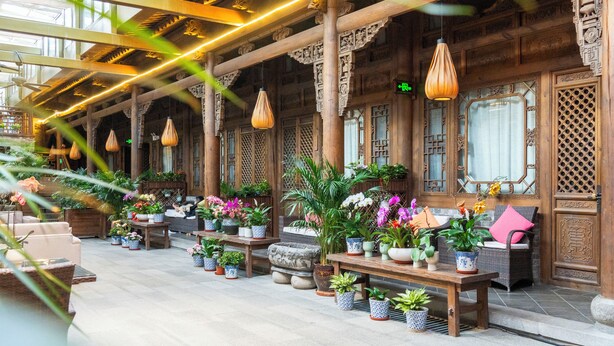 Un edificio de madera tradicional con un área de estar al aire libre cubierta, plantas en macetas y lámparas colgantes.