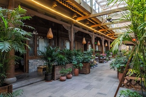 庭院