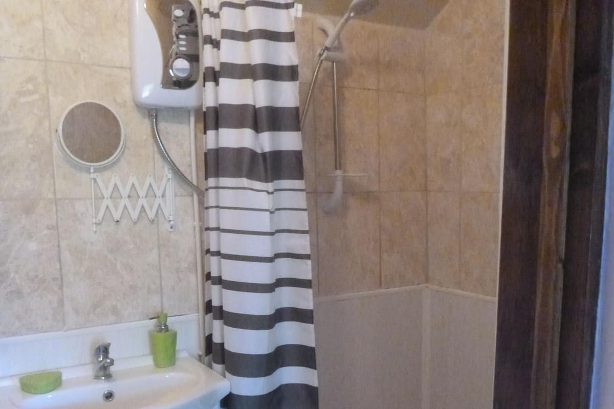 Habitación doble, baño privado | Regadera en el baño