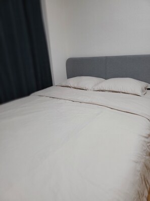 One-Bed Room Apartment  | 1 bedroom, free WiFi