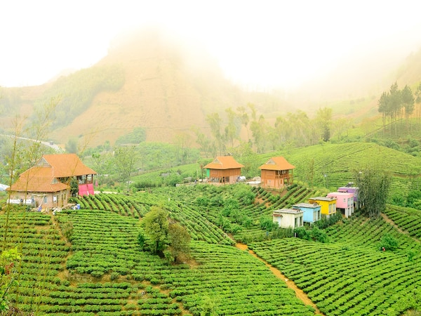 Moc Chau Arena Village - Tỉnh Sơn La