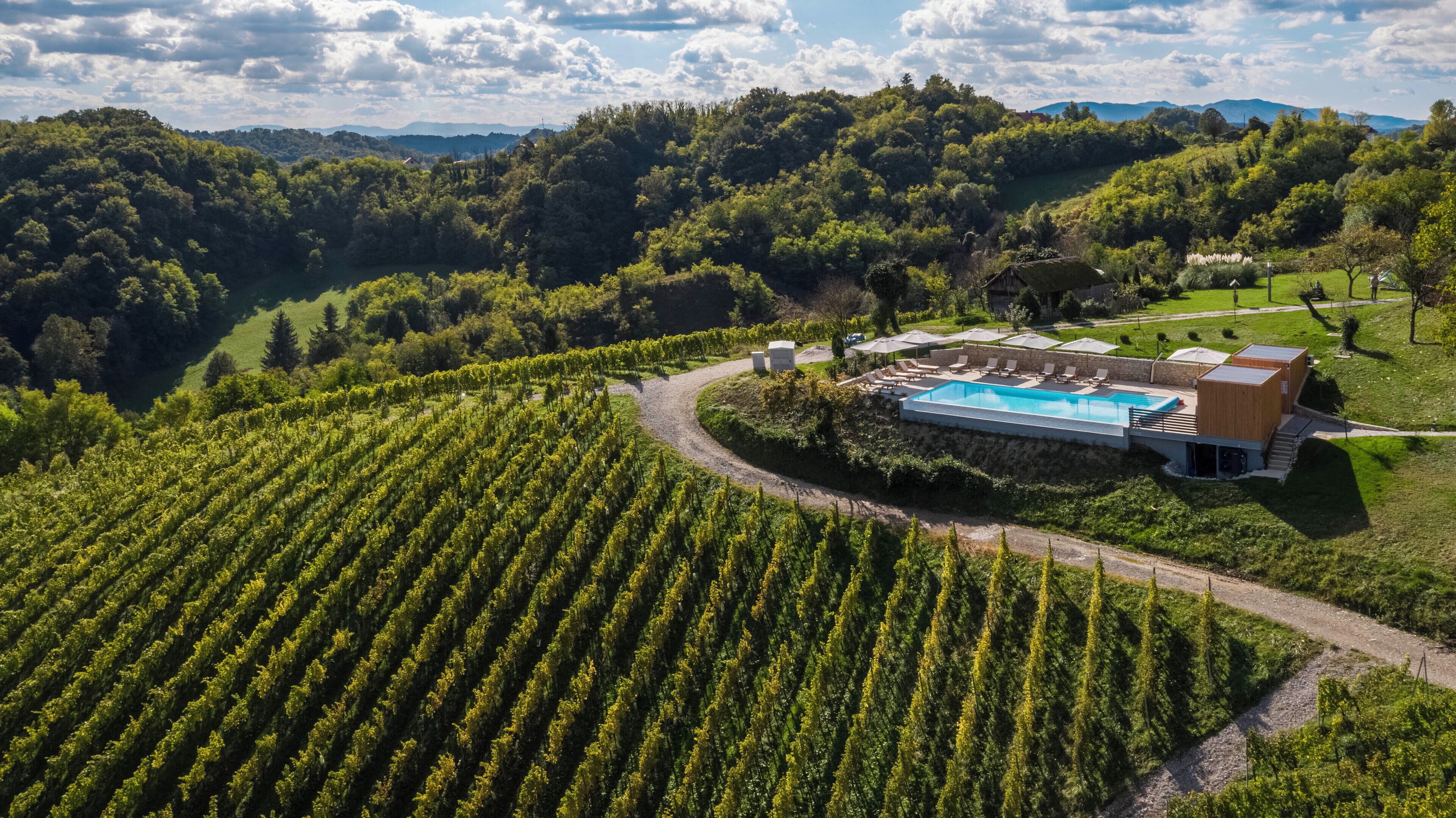 A vineyard with rows of grapevines, a swimming pool, and a building with a modern design.