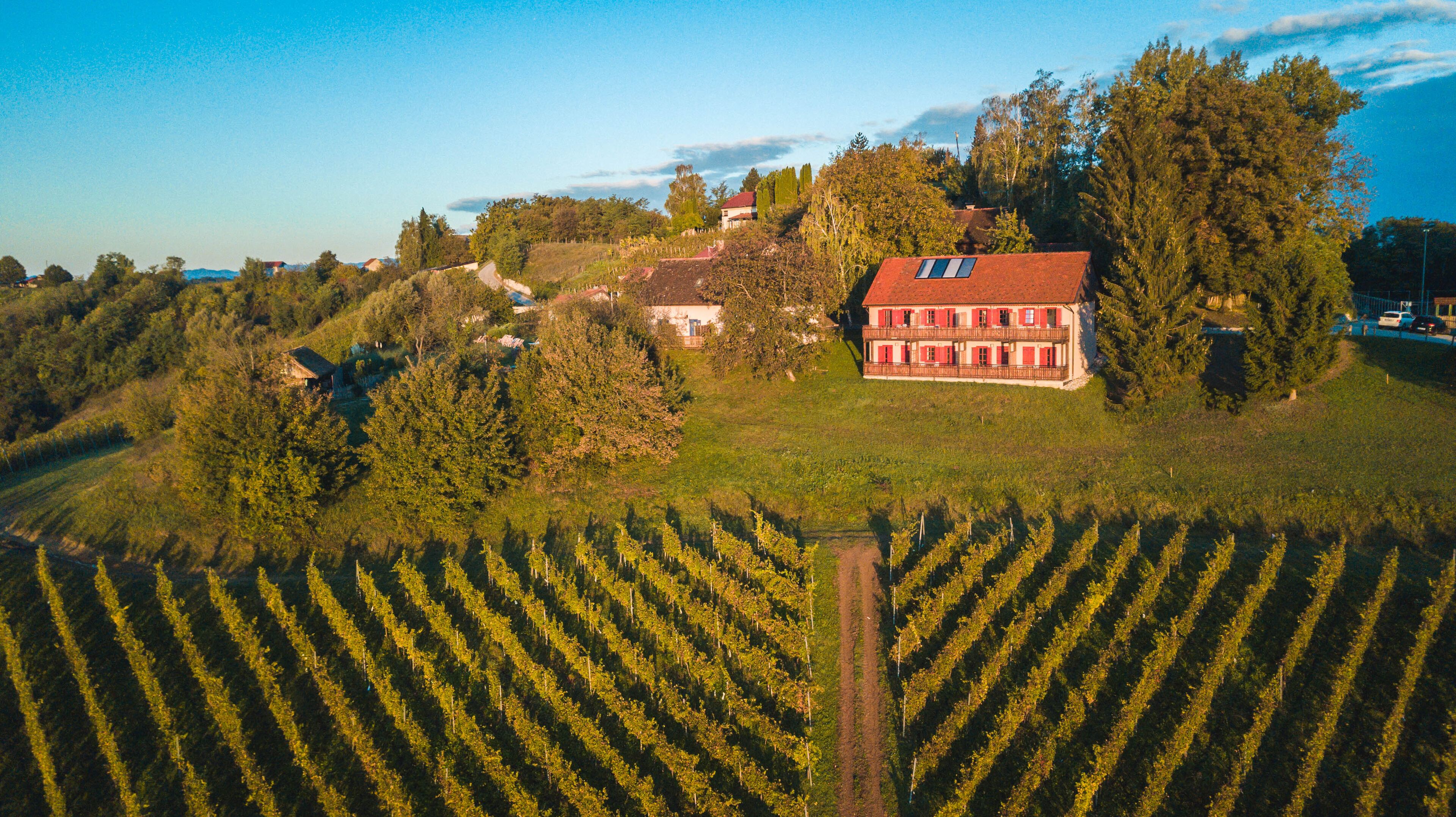 A large building with a red roof surrounded by a vineyard.