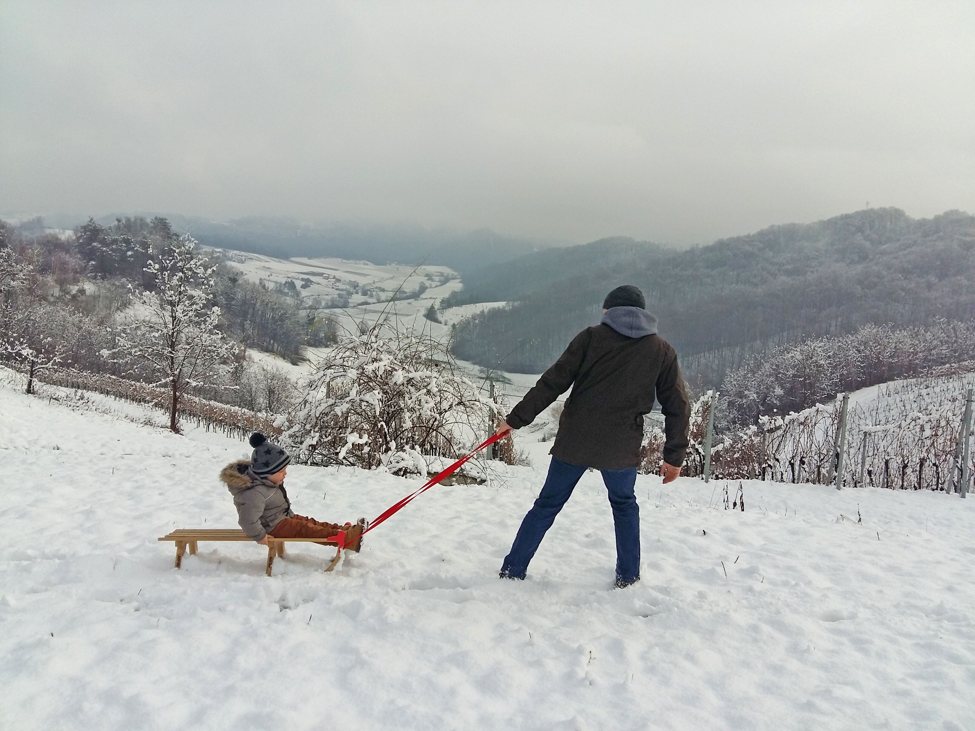 Olahraga salju dan ski