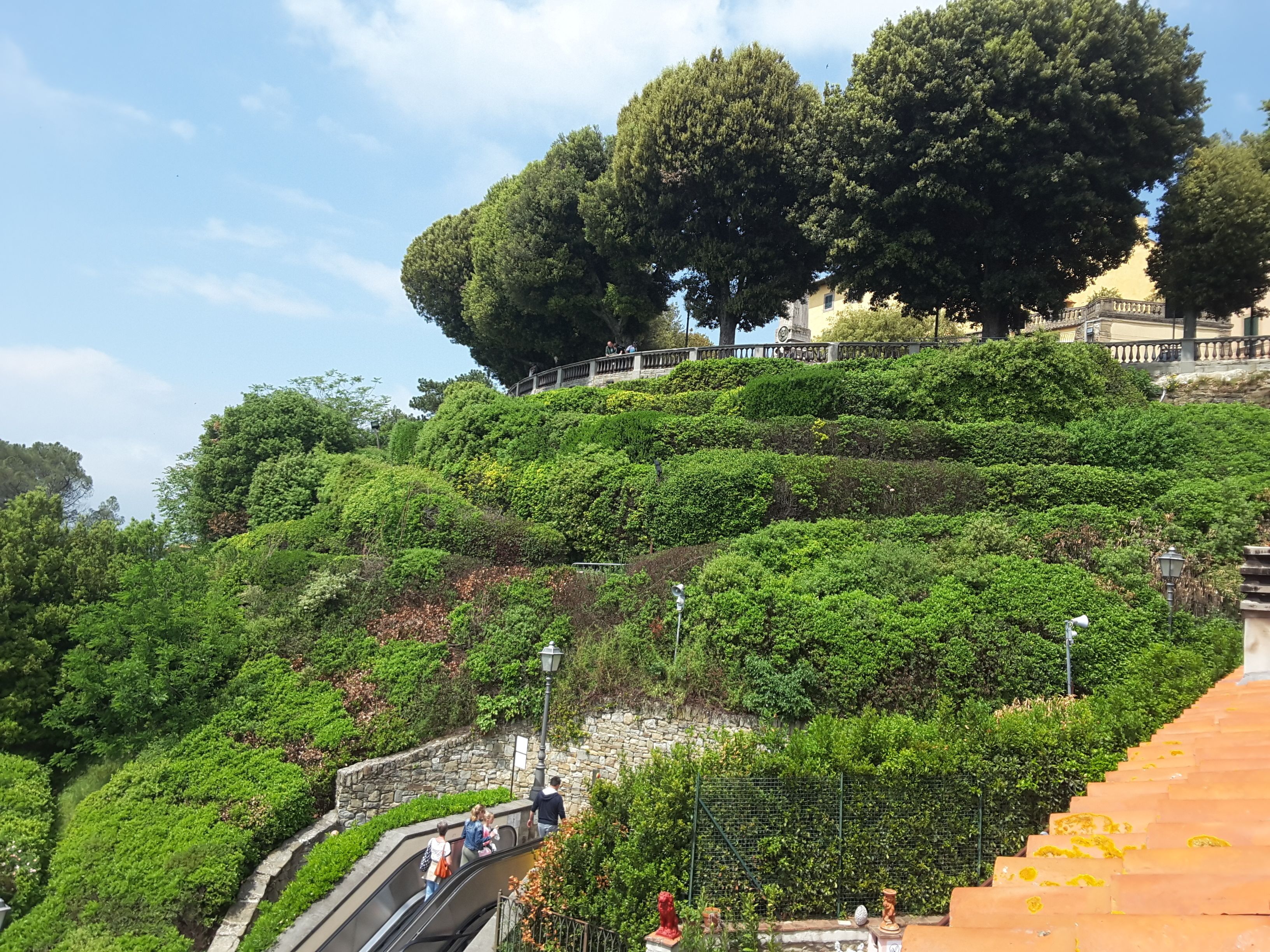 A lush, green hillside with a stone staircase leading up to a viewing platform.