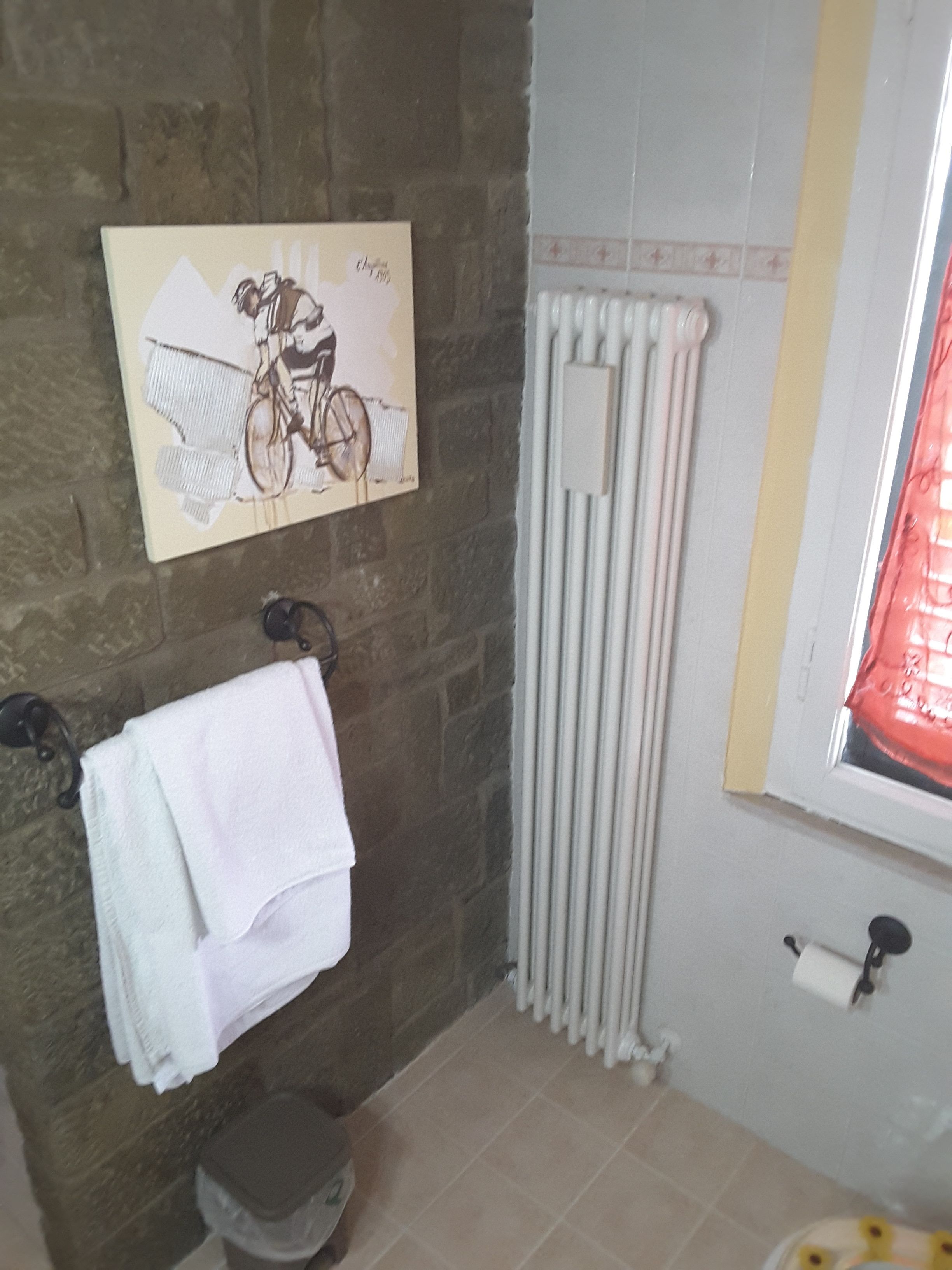 A bathroom with a towel rack, a radiator, and a window with a red blind.