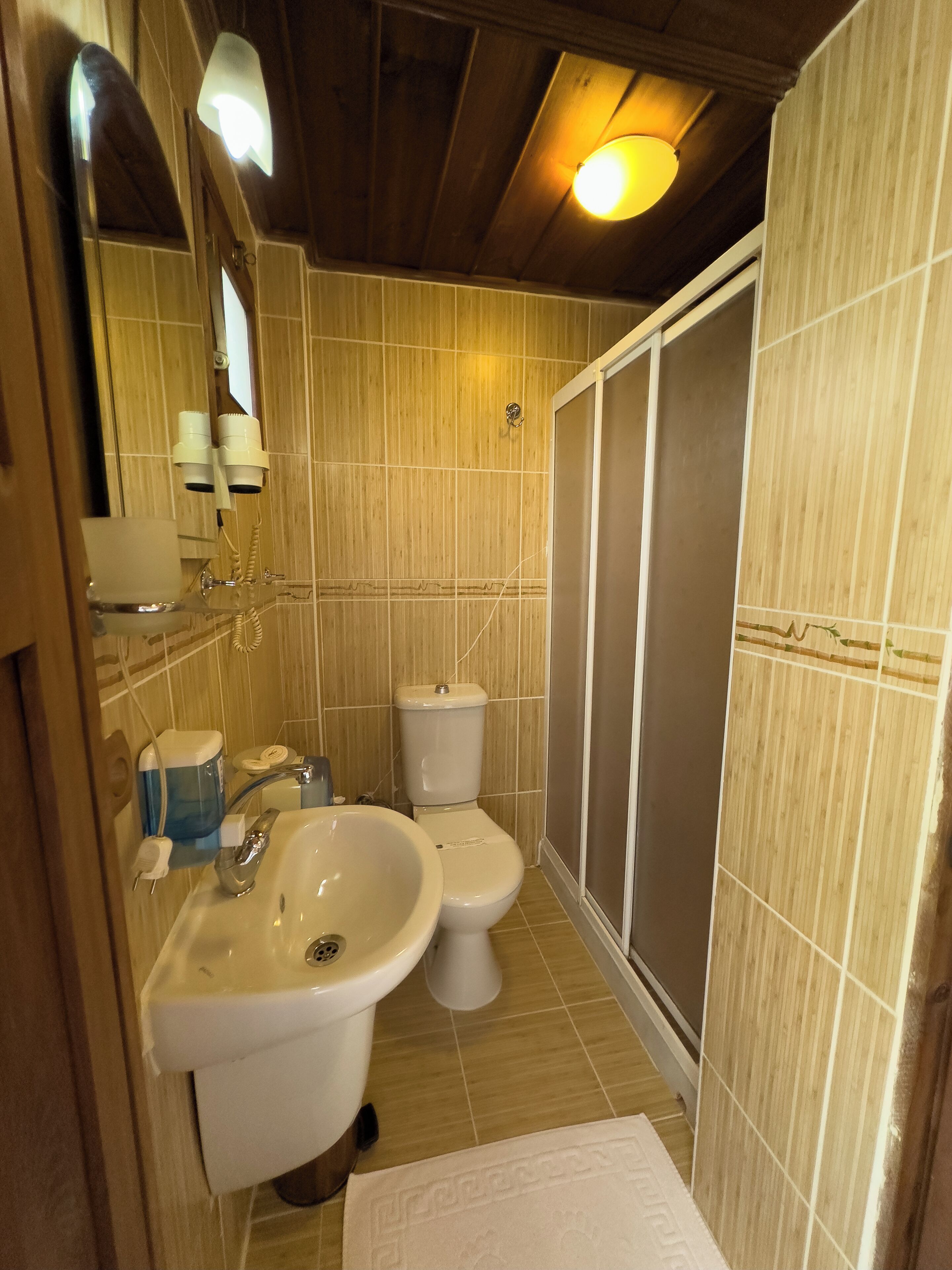 shower, free toiletries, hair dryer, slippers