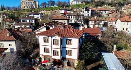 Akce Konak