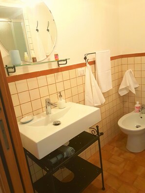 Shower, free toiletries, hair dryer, towels
