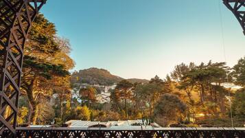 Royal Suite | View from room