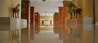 Gotel Capital