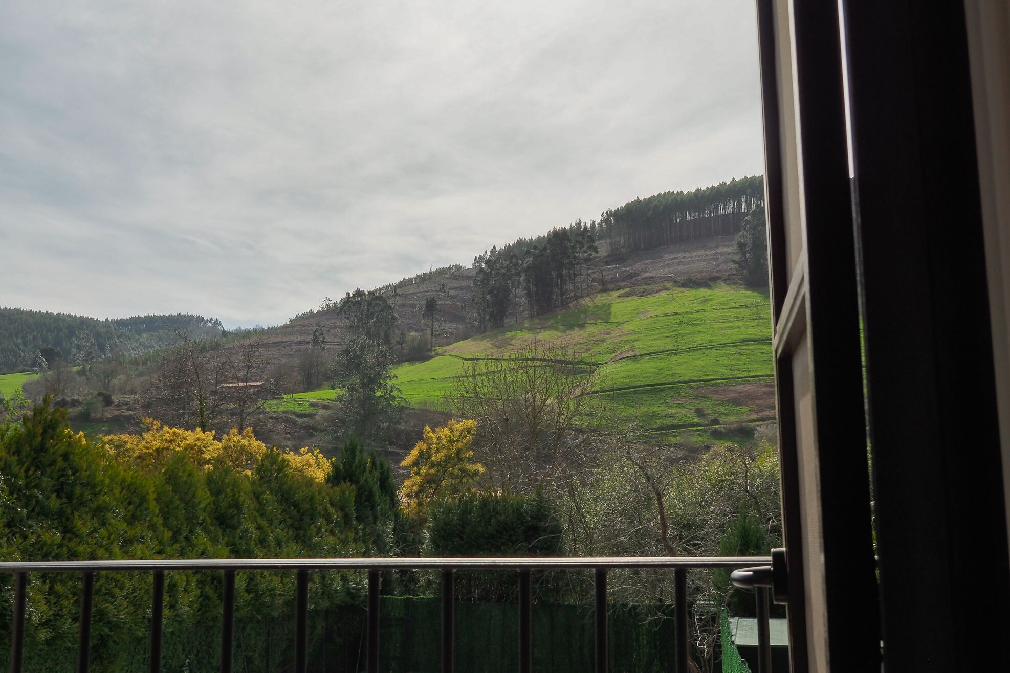 الإطلالة من المنشأة