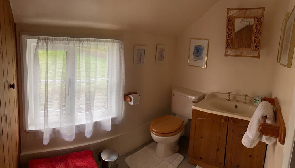 Un baño pequeño con inodoro, lavabo y ventana con cortinas.
